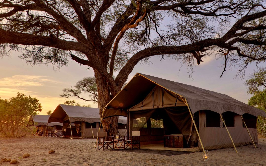 andBEYOND SAVUTE UNDER CANVAS