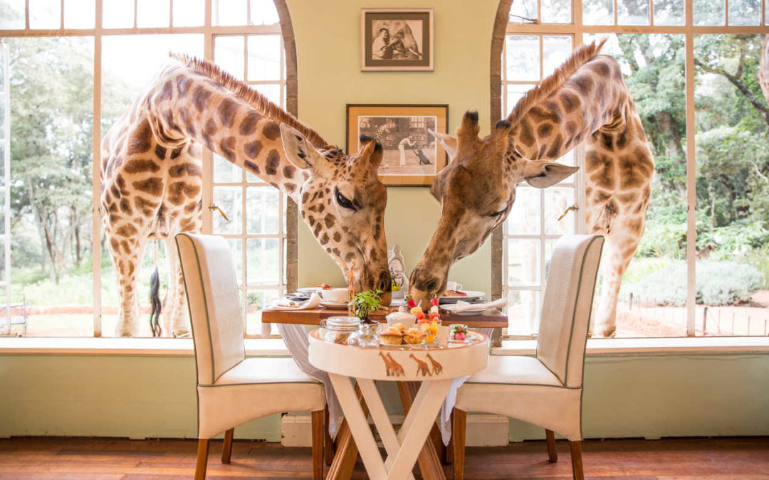 Giraffe Manor