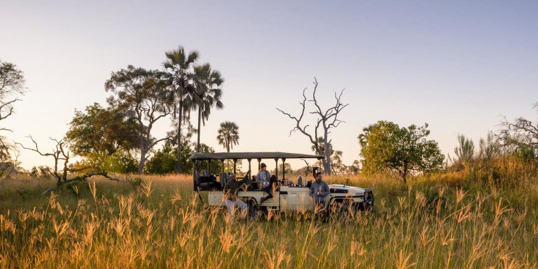 DÉCOUVERTE PRIVÉE DU BOTSWANA