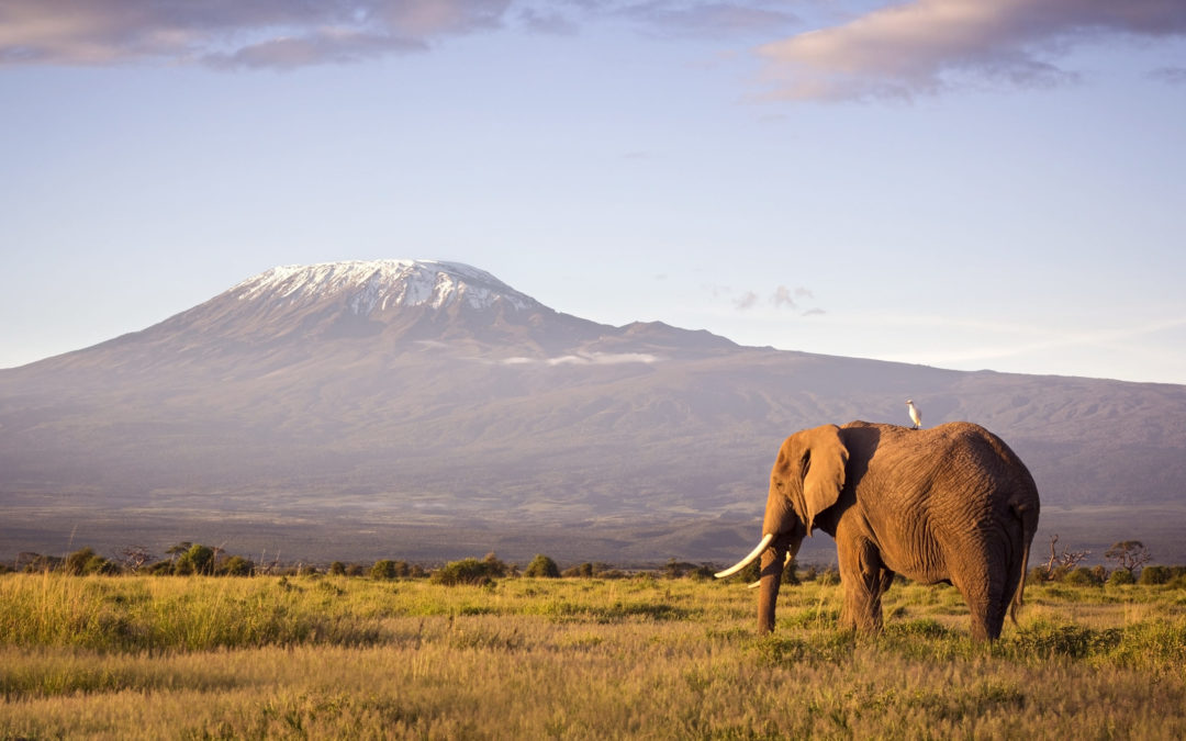 AVENTURE TANZANIENNE
