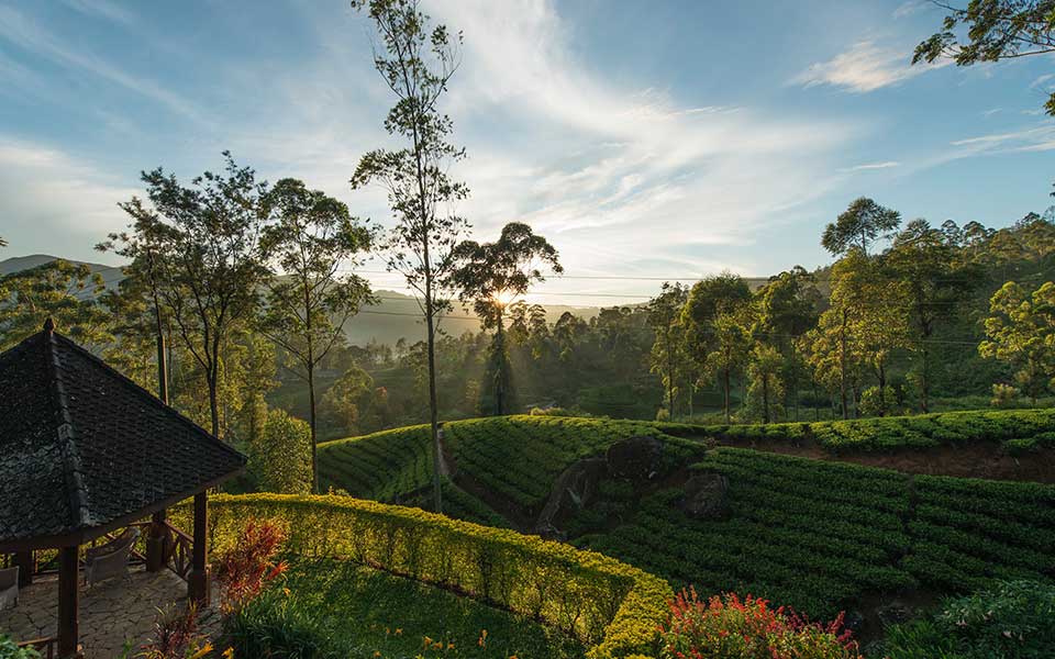 CEYLON TEA TRAILS, HATTON SRI LANKA