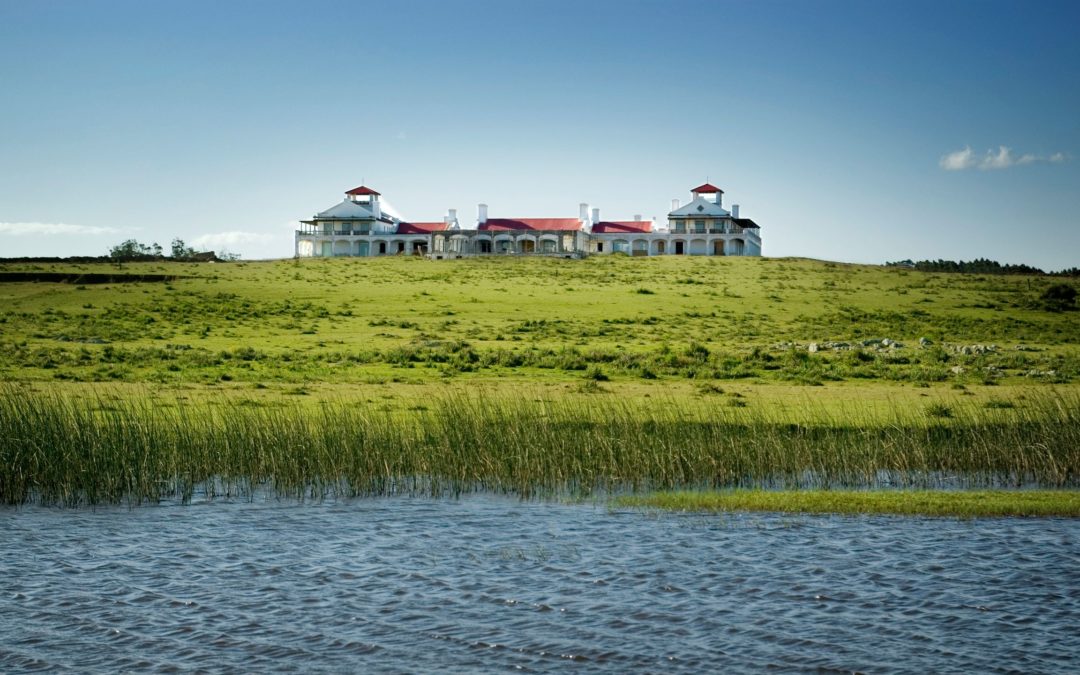 ESTANCIA VIK JOSE IGNACIO
