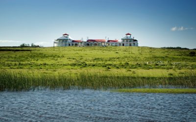 ESTANCIA VIK JOSE IGNACIO