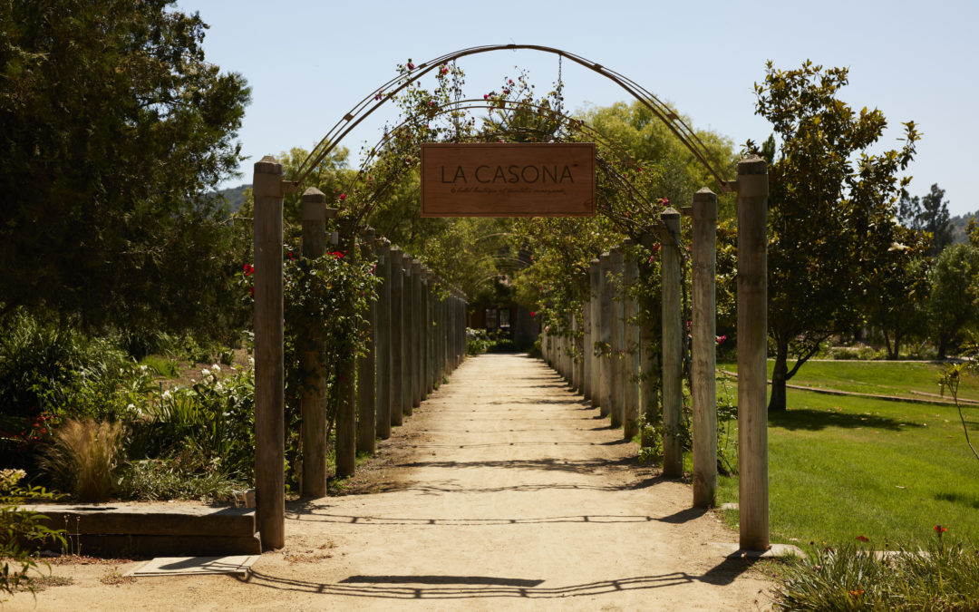 LA CASONA MATETIC VINEYARDS