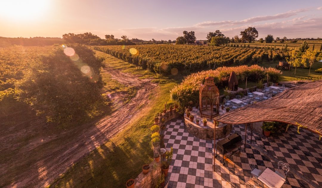 FINCA NARBONA WINE LODGE