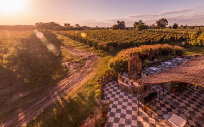 FINCA NARBONA WINE LODGE
