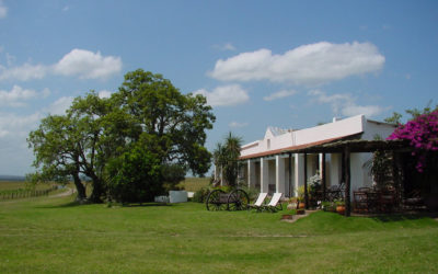 ESTANCIA GUARDIA DEL MONTE (Rocha)