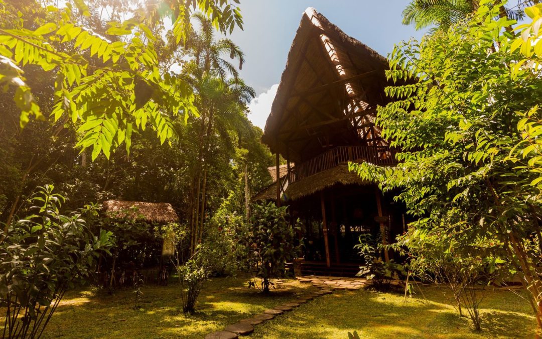 REFUGIO AMAZONAS (Tambopata) 