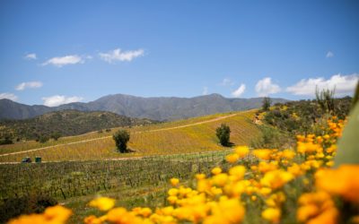 CIRCUIT L&rsquo;ÉTE AUSTRAL: CHILI, ARGENTINE & URUGUAY
